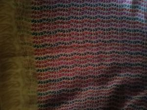 Kasirya Saree Multi Colour
