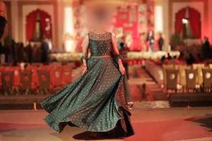 Stunning Green Ethnic Gown