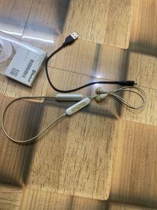 Sony Bluetooth WI-C200
