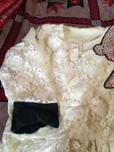 Elegant Lace Ethnic Gown