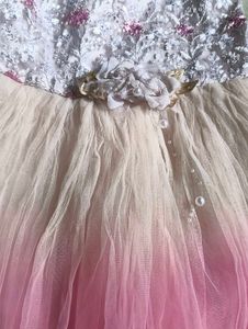 Beautiful Pink Ombre Tulle Gown