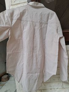new with tag shirt