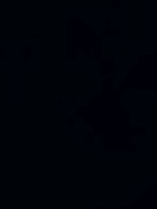 Test T1