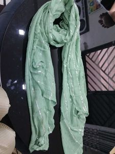 Elegant Mint Green Dupatta with Silver Stripes
