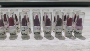 Set of 16 Lipsticks in Various Shades