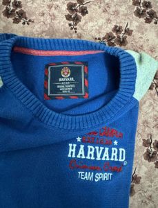 Men's Harvard Team Sport Sweatshirt
