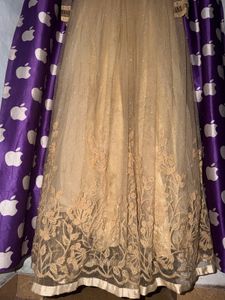 Royal Champagne Gold Embellished Shimmer Net Gown