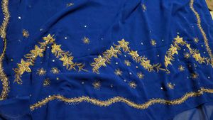 Zardozi 💯 Royal Blue Saree with Gold Embroidery