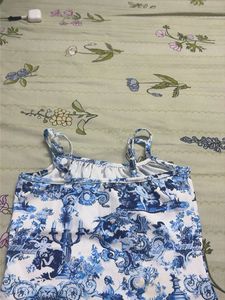 Blue &amp; White Print Maxi Dress