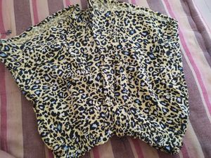 shorts for daily use