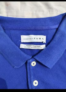 🦊🪲OG Zara Essentials Polo Shirt
