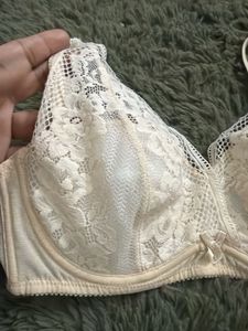 new Wacoal Lace Padded Bra