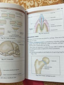 BD Chaurasia's Handbook of General Anatomy