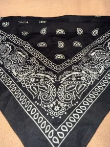 Bangkok Cotton Classic Paisley Bandana (Set of 2)