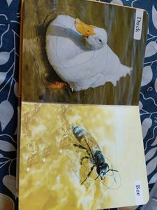 My First Book of Farm Animals
