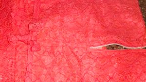 Red Ethnic Gown