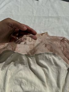 Sheer Lace Long Sleeve Top