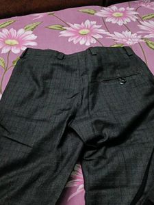 Taylored Grey charcoal Formal Pants
