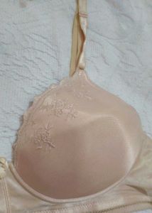 Very Beautiful Embroidery Bra