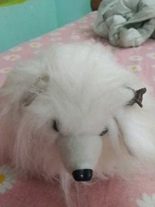 Cute White Dog Plush Toy