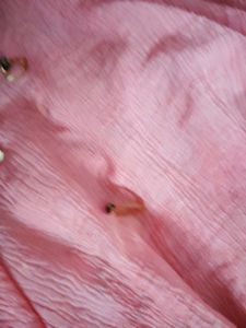 135.Pink dupatta