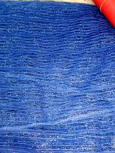 Elegant Blue Stole
