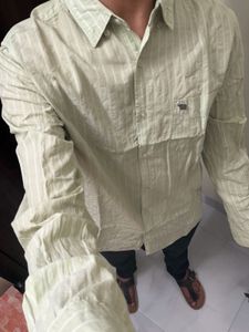 The bear house Light Green Striped Casual Shirt