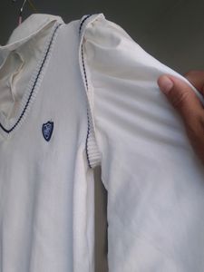 Imported Korean Top