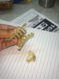 Chic Claw Clip Set