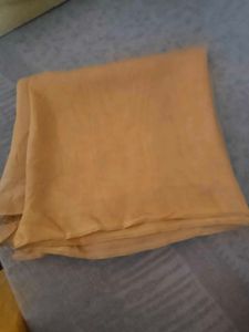 PRICE DROP - Golden Saree with Embellishments