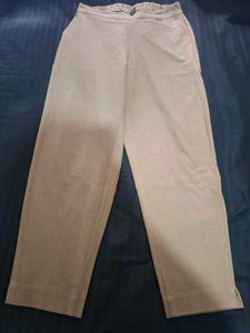 Beige Trousers (Treggings)