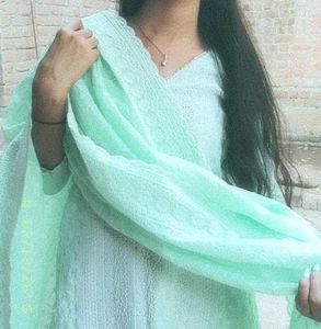 Elegant Mint Green Embroidered Kurta Set