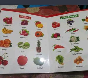 BRAND NEW📚** All In One Learning Book