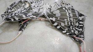 Unique Butterfly Wing Bra