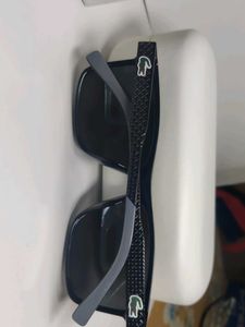 Lacoste Polarized Sunglasses