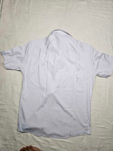 Men's Short Sleeve Button-Up Shirt