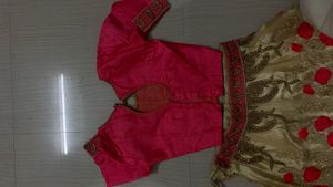 Embroidered Lehenga Skirt