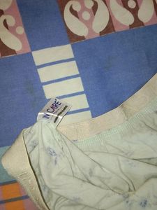 Panty L Size