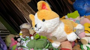 Cute Pink Plush Toy