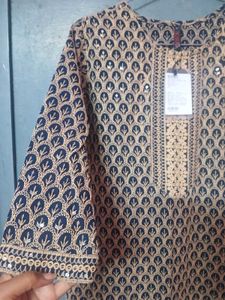 Scakhi chikankari Kurta