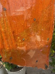 Orange Embroidered Dupatta