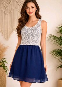 Chic Lace & Chiffon Fit & Flare Dress
