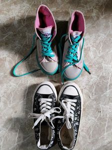 Trendy canvas Sneakers for Women