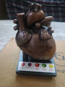 Unique Anatomical Heart Pen Holder