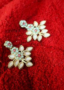 Exquisite Floral Earrings with choker