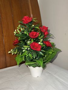 Rose plant decor