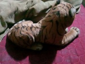 Tiger soft toy