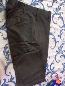 Olive Office Pant