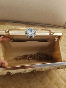 Embellished Evening Clutch Bag