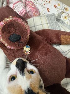 Hello Kitty Charm Bracelet